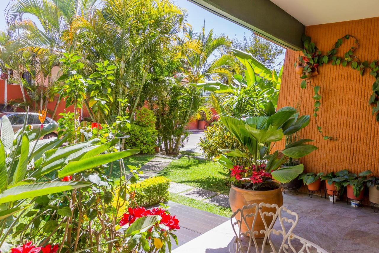 Casa De Las Palmas Guest House Oaxaca Esterno foto