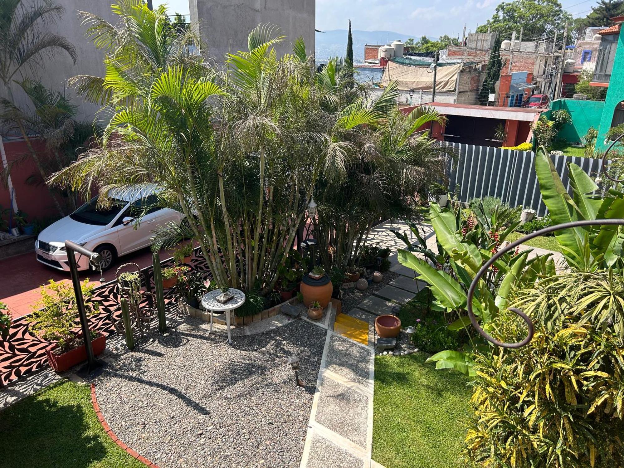 Casa De Las Palmas Guest House Oaxaca Esterno foto